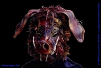 " Phantasmagoric Boar " (C) 1989